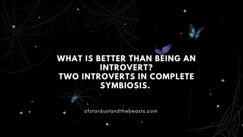 What is better than being an introvert? Two introverts in complete symbiosis. 