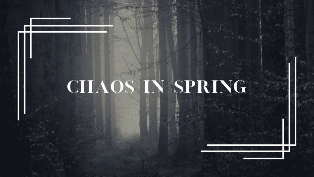 Members of Chaos in Spring. An Illustrative photo for my band. A forest and my bands' name Chaos in Spring. Let's listen to the music!