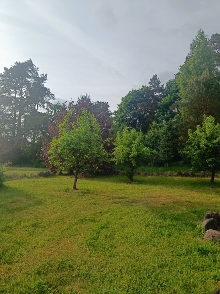 Open grassy garden with several trees in summer foliage beneath a bright, lightly clouded sky.