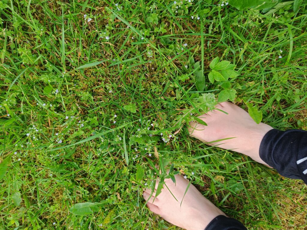 Bare feet standing in long grass and wild plants in a garden.