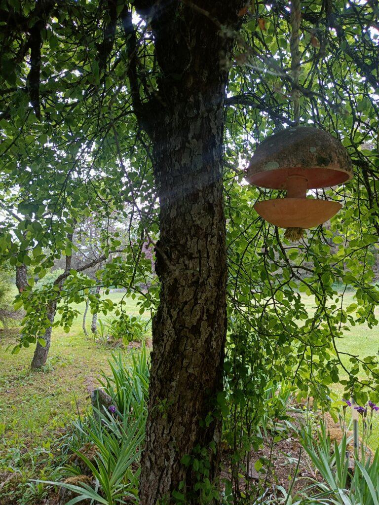 An apple tree in the garden of my childhood home, with an old harbor buoy hanging from a branch among the summer leaves. The surrounding garden is lush and green, creating a peaceful countryside scene.